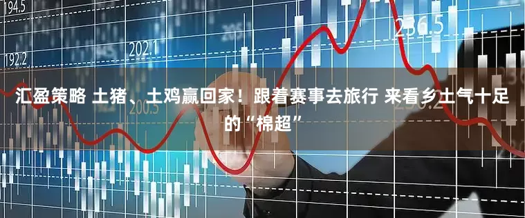 汇盈策略 土猪、土鸡赢回家！跟着赛事去旅行 来看乡土气十足的“棉超”