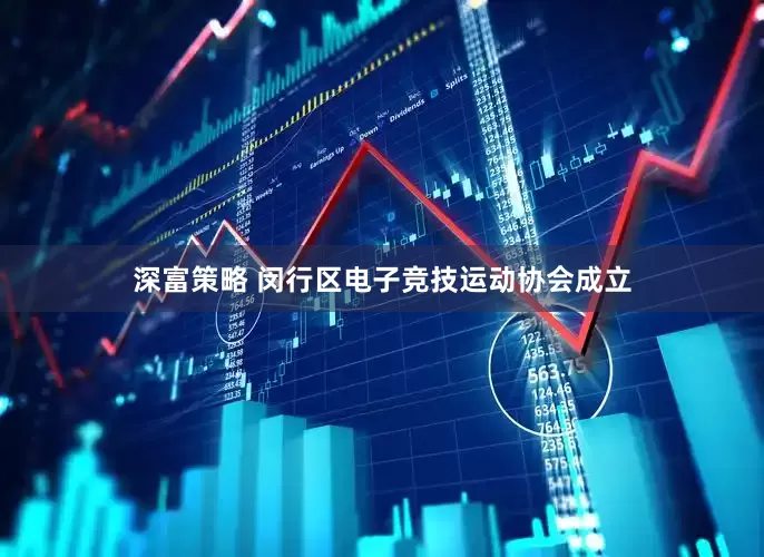 深富策略 闵行区电子竞技运动协会成立